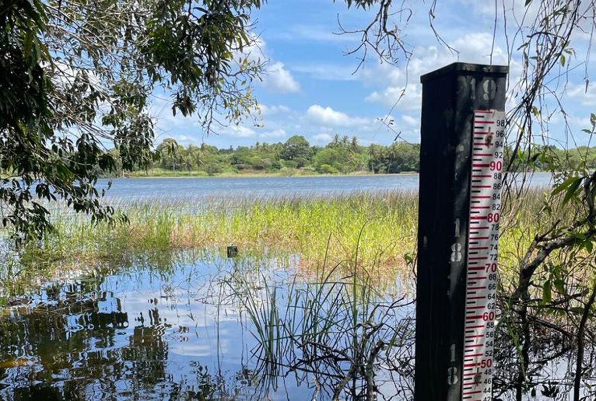 cd99dc40e2fdcdd0169d900c5907dcc8