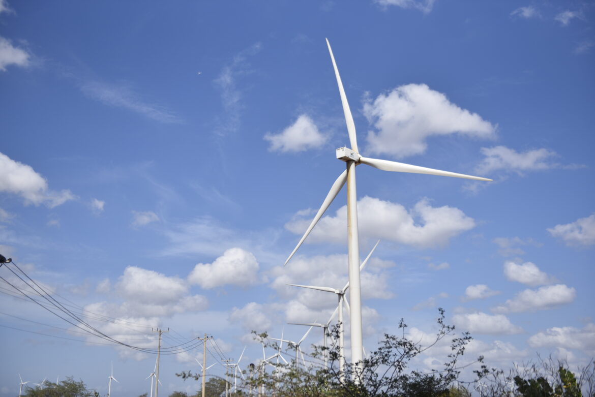 Inauguração do Parque Eólico de Cumaru_EE (4)