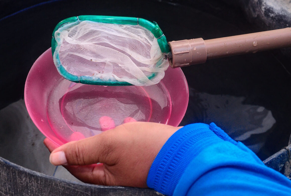 a6562a5fc5165ccbec7b21683d074885